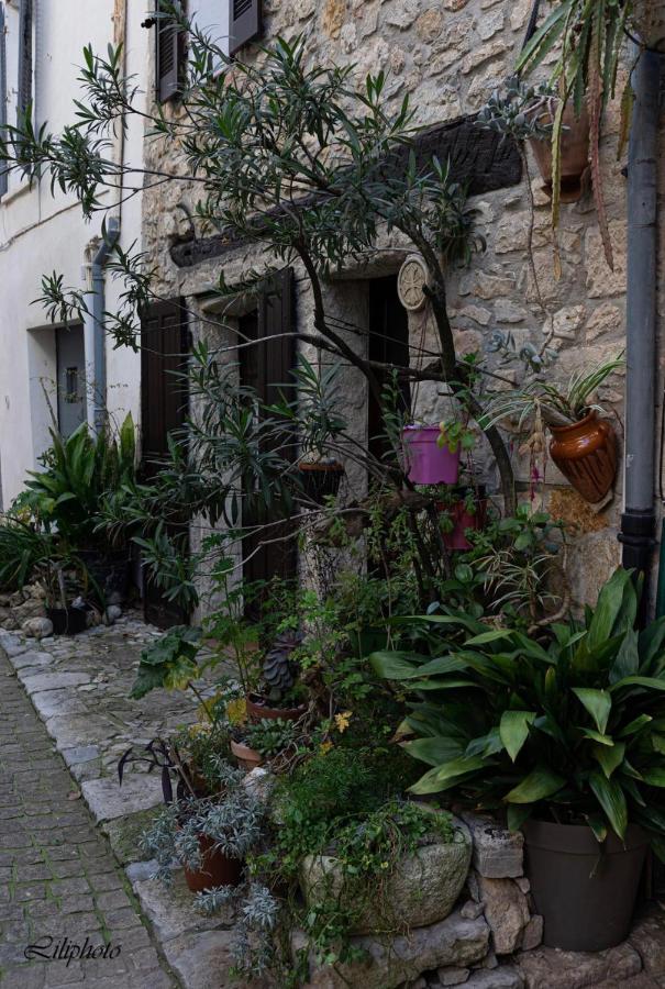 Apartamento Cosy Provencal Belgentier Exterior foto