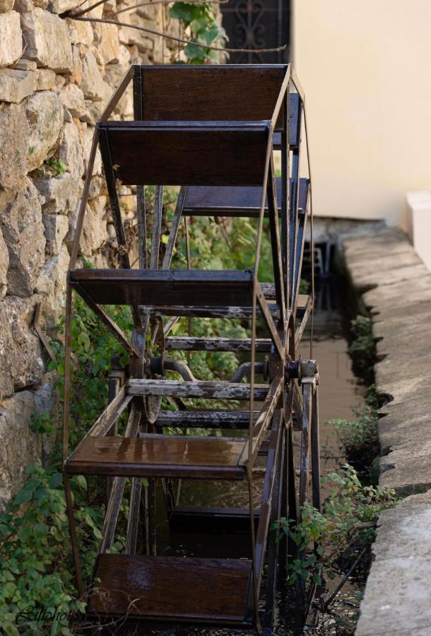 Apartamento Cosy Provencal Belgentier Exterior foto