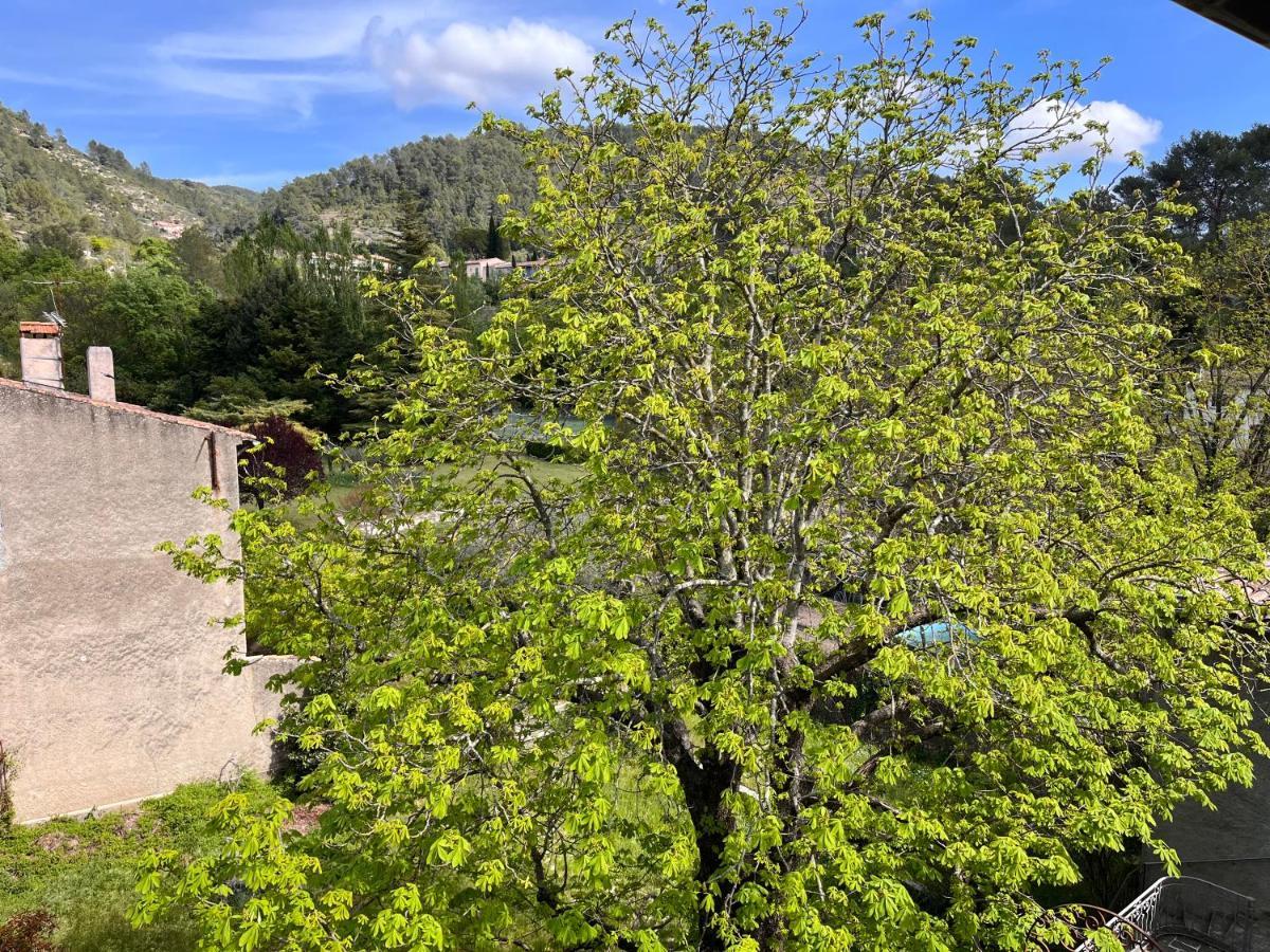 Apartamento Cosy Provencal Belgentier Exterior foto